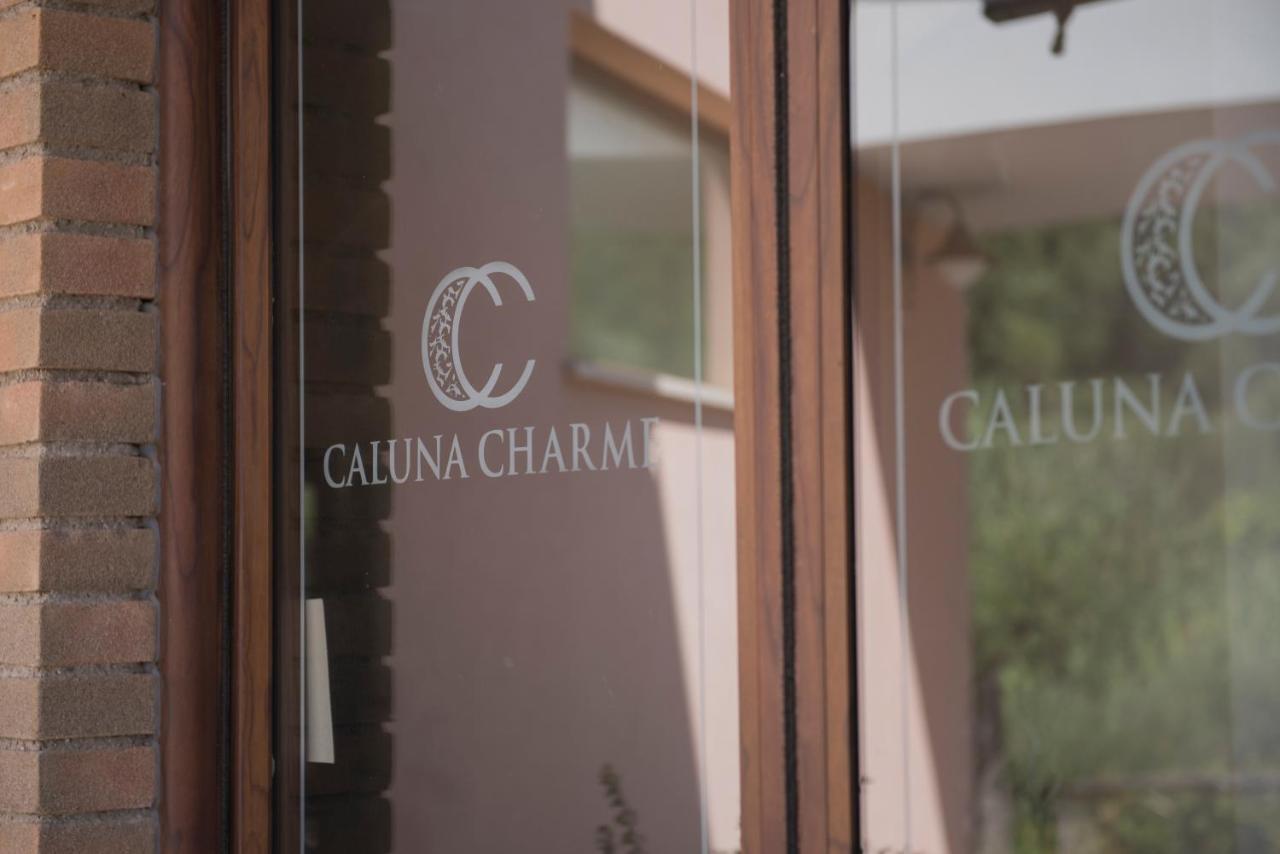 Hotel Caluna Charme San Giovanni a Piro Kültér fotó